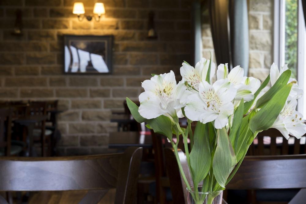 Hotel The Plough Sleights Exterior foto